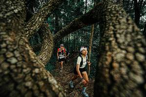 BIB: 
                            <button type="button" onclick="openModal(25674245)" class="btn btn-primary btn-sm float-right btn-popup" data-toggle="modal" data-target=".modal-high-quality">
                        <i class="fas fa-shopping-cart"></i> Add to Cart
                    </button>
                                            <button type="button" onclick="isThisMe(25674245, true)" class="btn btn-success btn-sm float-right btn-popup btn-isme hidden" data-toggle="tooltip" data-placement="bottom" title="นี่คือรูปของคุณใช่ไหม คลิกที่นี่เพื่อเอาเข้าอัลบั้ม">
                        <i class="fas fa-plus"></i> Add to album
                    </button>
                    <button type="button" onclick="isThisMe(25674245, false)" class="btn btn-warning btn-sm float-right btn-popup btn-isnotme hidden">
                        <i class="fas fa-ban"></i> Remove from album
                    </button>